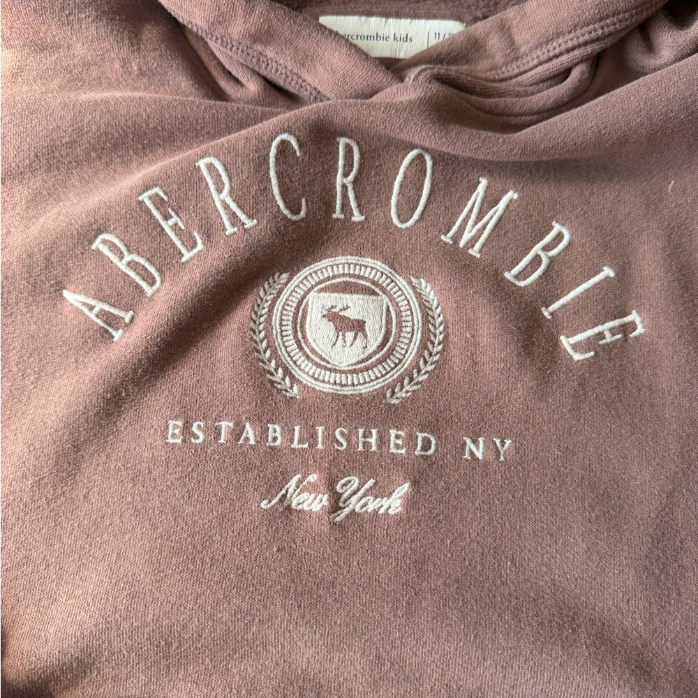 Abercrombie Kids Taupe Hoodie